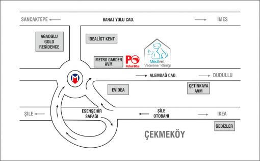 medivet-adres-kroki